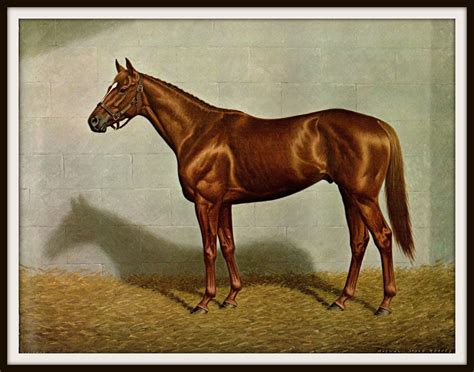 Affirmed Painted By Richard Stone Reeves This Bookplate Is 15 Inches