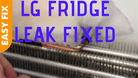 Lg Refrigerator Leaking Easy Fix Youtube