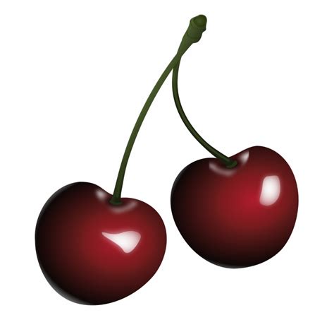 Cherry Vector Png At Collection Of Cherry Vector Png