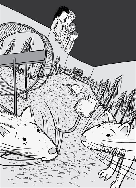 A Bustle In The Cage Row The Making Of Rat Park Addiction Comic
