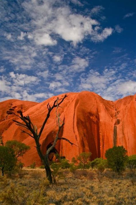 Flooding Rains Bring Rare Waterfalls To Australias Uluru The Independent The Independent