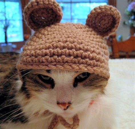 Pet Costume Pet Hat Hat For Cats Cat Clothing Pet Etsy Cat Clothes