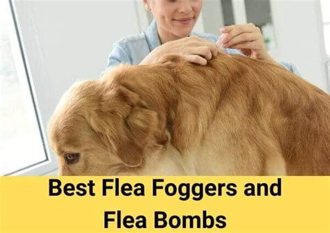 5 Awesome Best Flea Foggers And Flea Bombs 2022 Reviews ️