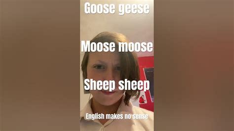 Goose Geese Moose Meese Shoop Sheep Funny Youtube