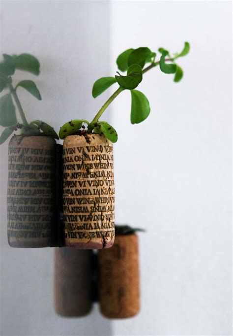 Hops And Herbs Diy Project Magnetic Wine Cork Planters
