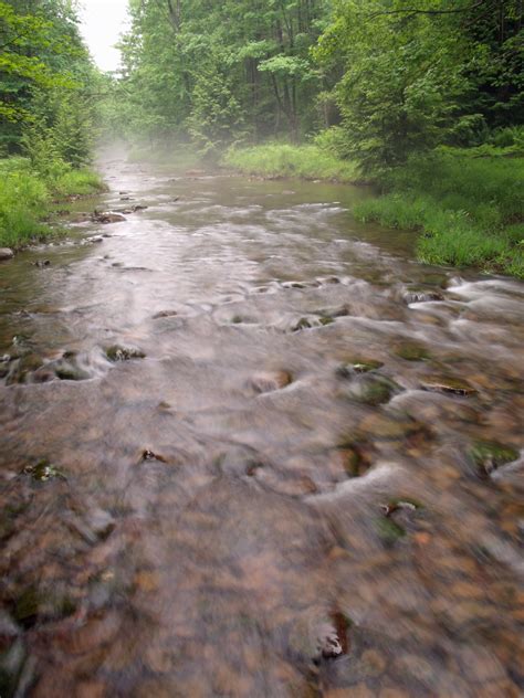 Free Images Forest Creek Wilderness Fog Trail River Stream
