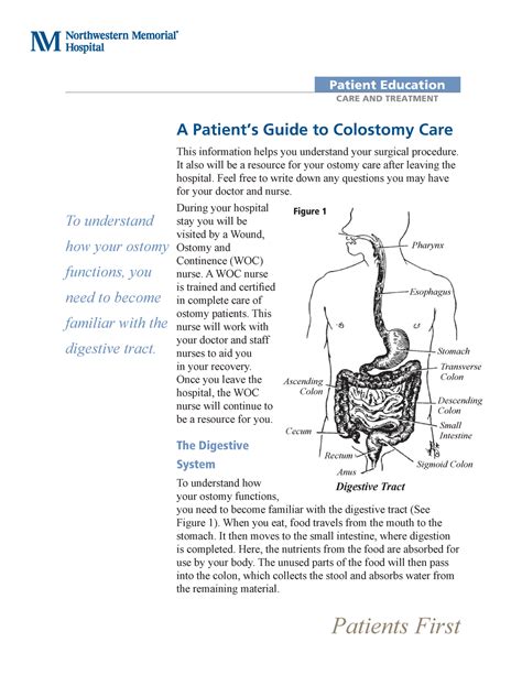 Colostomy Care Guide 09 07 Hed 3515 Wellness Studocu
