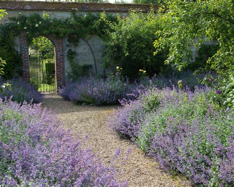 Landscaping With Lavender 16 Ways To Use This Classic Gardeningetc