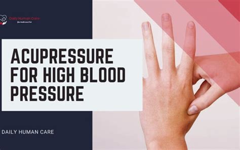 5 Best Effective Acupressure For High Blood Pressure Daily Human Care