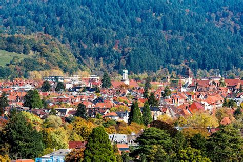 Surrounded By The Black Forest Freiburg