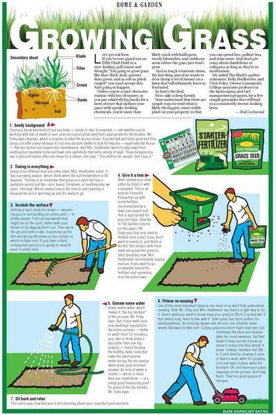7 Steps To Growing Grass The Blade