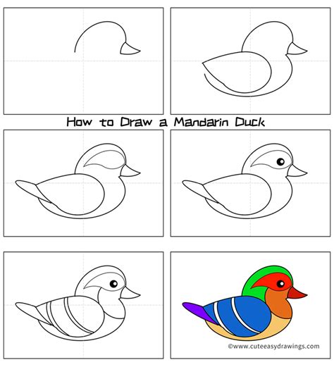 How To Draw A Mandarin Duck Easy Step By Step For Kids