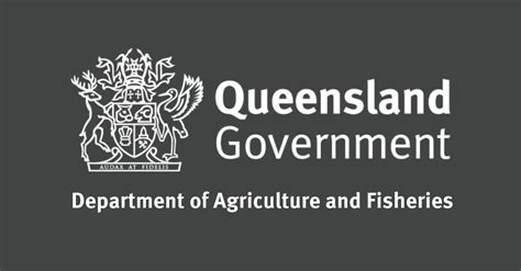 Fisheries Department Of Agriculture And Fisheries Queensland