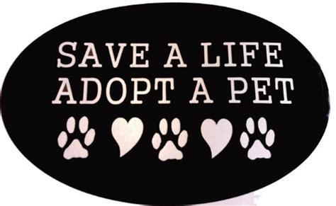 To send an email to one love pet adoptions, please fill out the form below and we'll get back to you as soon as we can! Homepage - Precious Paws Animal Rescue