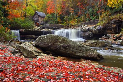Budget Travel Explorer Weekly Fall Foliage Report Offers Tips On Best