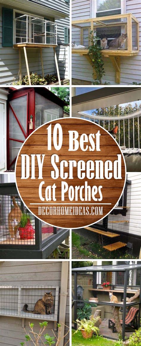 That's why we look at some safe, yet effective ways to keep cats away from your property. Best DIY Screened Cat Porches To Keep Your Kitty Safe ...