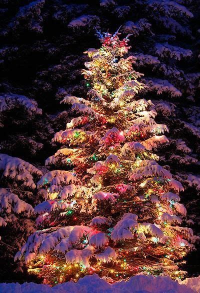 Pin By Michèle Givais On Pastel Christmas Outdoor Christmas Tree