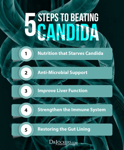 Candida Overgrowth Best Home And Lab Tests Candida