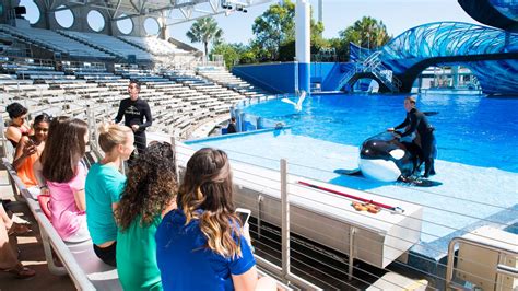 Seaworld Adds New Killer Whale Up Close Tour