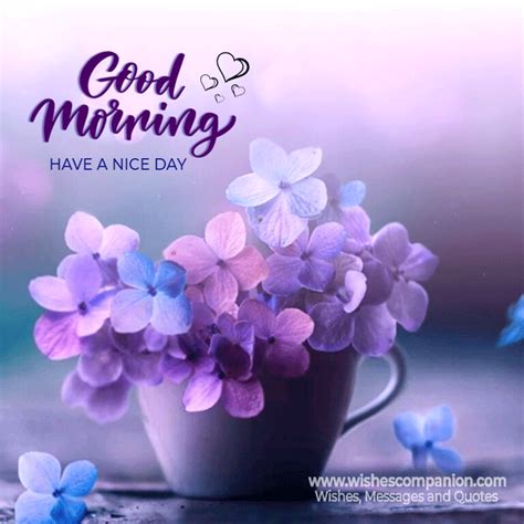 50 Good Morning Messages Wishes And Quotes Wishes Companion