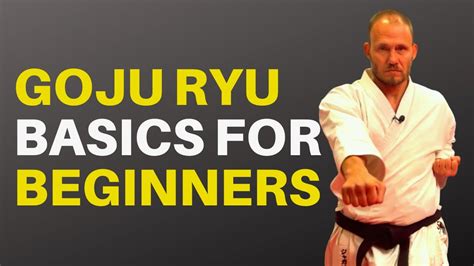 Goju Ryu Basics For Beginners Blocks Punches And Stances Youtube