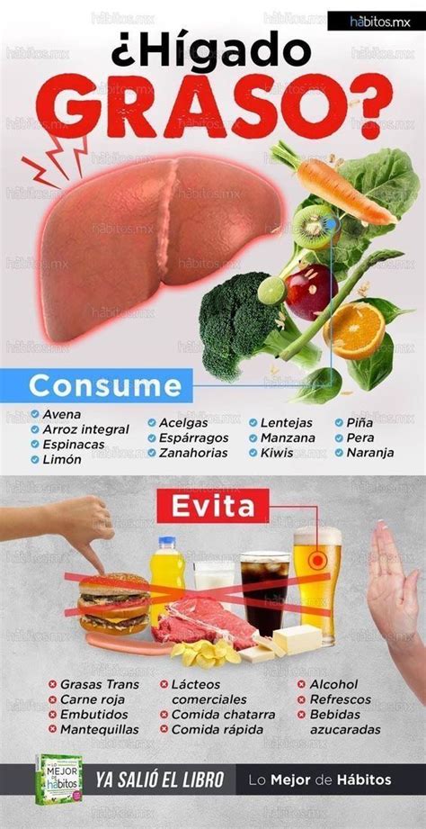 Dieta Para El Higado Graso Y Colesterol Dietvc