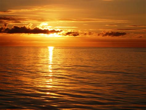 Beautiful Ocean Sunset Flickr Photo Sharing