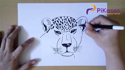 How To Draw A Leopard Head Step By Step Youtube