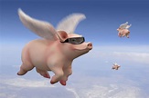 flying pigs - Google Search | Flying pig, Pig, Baby pigs