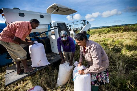 Empowering the vulnerable: Experts call for equitable access to climate