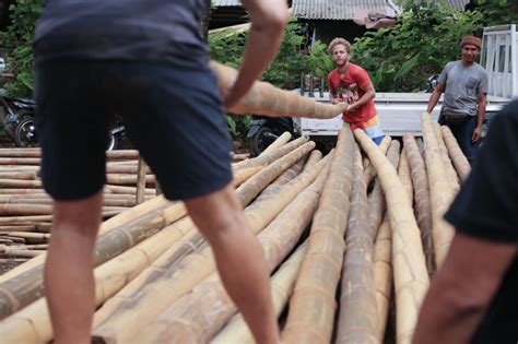 Preparing And Selecting The Right Bamboo For Construction