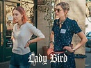 “Lady Bird” por fin está en Netflix: 3 argumentos para ver esta ...