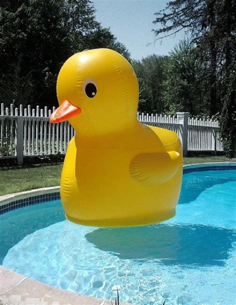 Giant Duck Pool Toy A Unique Ts Website Cool Pool Floats