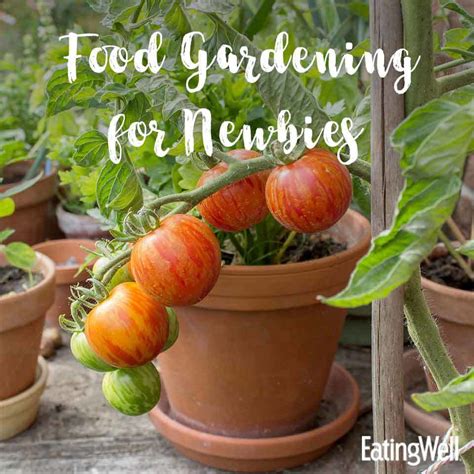 Food Gardening For Beginners Eatingwell