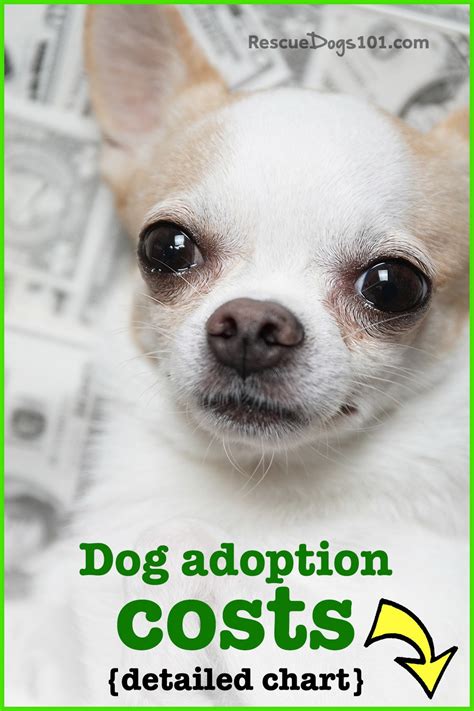 Dog Adoption Cost Chart
