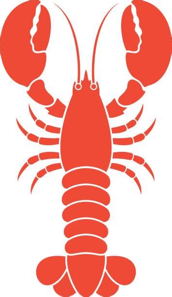 Lobster Illustrations Royalty Free Vector Graphics And Clip