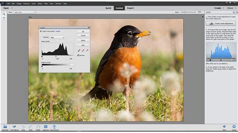 Best Photo Editing Software 2022 Top Ten Reviews