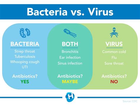 Difference Between Viral And Bacterial Infection Huateng Pharma