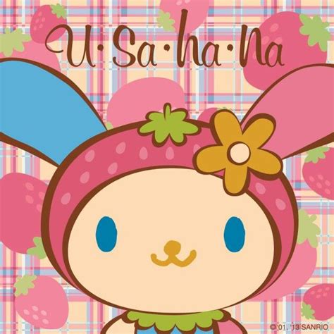 Usa Ha Na Hello Kitty Drawing Hello Kitty Art Sanrio Characters Cute Characters My Melody