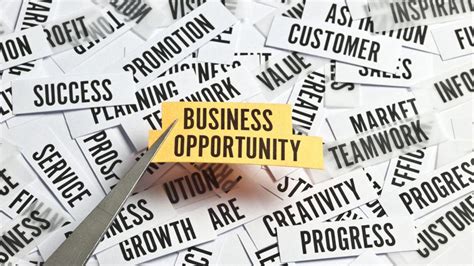 Explore New Business Opportunities