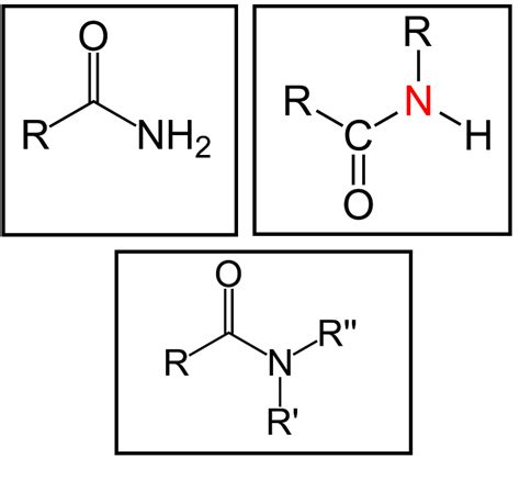 Amines And Amides Chemistry Quizizz