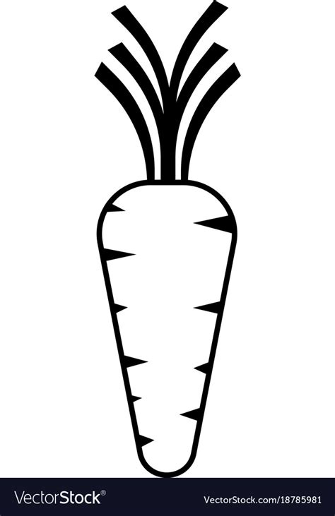 Carrot Icon Vector 430458 Free Icons Library