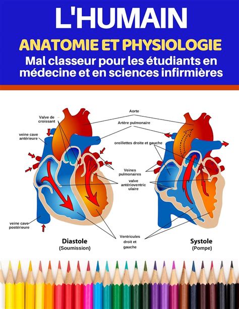Buy Lhumain Anatomie Et Physiologie Mal Classeur Pour Les étudiants En