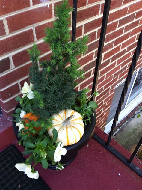 Easy Fall Update To Container Planting Easy Fall Fall Decorating