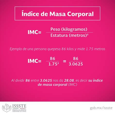 Calculo De Indice De Masa Corporal En Excel Printable Templates Free