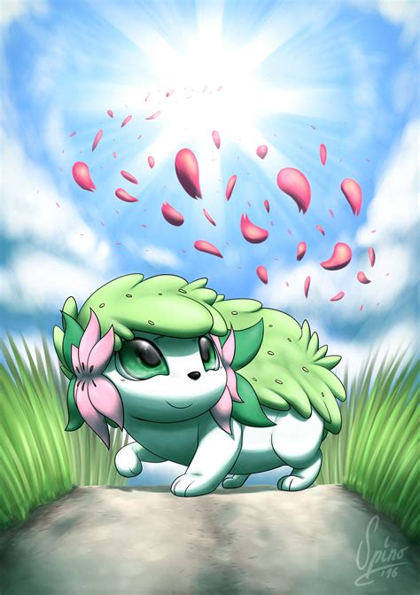 20 Years Of Pokemon Shaymin By Spinoone On Deviantart