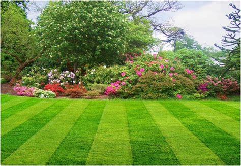 If you can get a website with high. Best 'Do It Yourself Care Tips' For A Beautiful Lawn - Revolve House