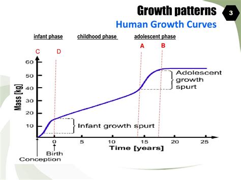 Ppt Growth Patterns Powerpoint Presentation Free Download Id792356