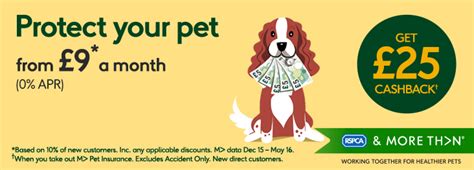 Get Dog Insurance Quotes Online from MORE TH>N | RSPCA
