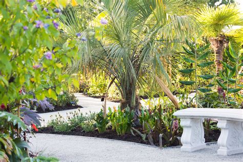 17 Best Tropical Garden Ideas You Should Look Sharonsable